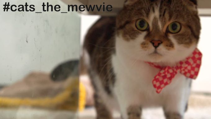 #cats_the_mewvie