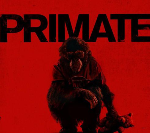 primate